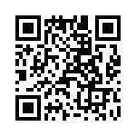 T38540-17-0 QRCode