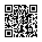 T38545-13-0 QRCode