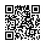 T38560-13-0 QRCode