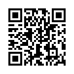 T38560-20-0 QRCode