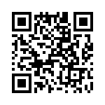 T38560-24-0 QRCode