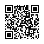 T38563-01-0 QRCode