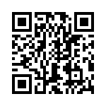 T38567-13-0 QRCode