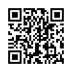 T38568-17-0 QRCode