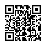 T40204500000G QRCode