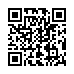 T42404520000G QRCode