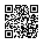 T52401500000G QRCode