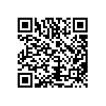 T540D687K2R5CH87057610 QRCode