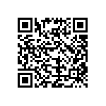 T55B336M004C0200 QRCode