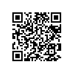 T86E337K004EASS QRCode