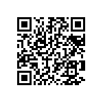 T95Y106M025EZSL QRCode