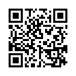 T9G0101003DH QRCode