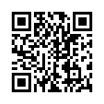 TD-16-384MDD-T QRCode