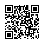 TIC-L032-11 QRCode