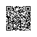 TNPW12062K00BEEN QRCode