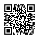 TS10KL100HD3G QRCode