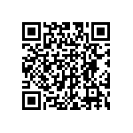 TT41101-111BUI65T QRCode