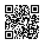 V110A8T300B QRCode