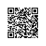 V110B3V3H100BN3 QRCode