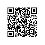 V110B3V3T100BG2 QRCode