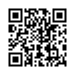 V20E30AUTO QRCode