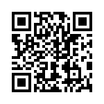 V20P42AUTO QRCode