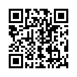 V24A15T300B3 QRCode