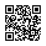 V24B3V3E100BS2 QRCode