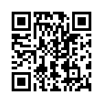 V24B3V3T100BG3 QRCode