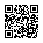 V24B48E250BG2 QRCode