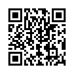 V24B48T250BS3 QRCode