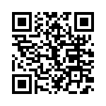 V24C12T100B3 QRCode