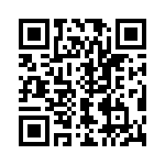 V24C15T100B3 QRCode