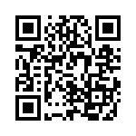 V24C5T100B3 QRCode