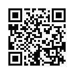 V28B15M150B QRCode