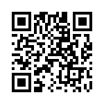 V28C36T100B QRCode