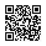 V300A24T400BG QRCode