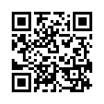 V300B28T250BL QRCode