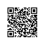 V300B3V3E100BG3 QRCode