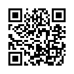 V48B2T100BG QRCode