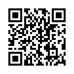 VE-B3P-IV-F4 QRCode