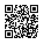 VE-B3P-IY-F4 QRCode