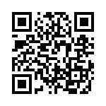 VE13P00301K QRCode