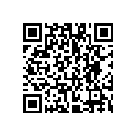 VG95234B1-22-2P1N QRCode