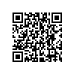 VG95234B1-22B22PN QRCode