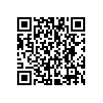 VG95234B1-22B22SN QRCode