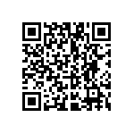 VG95234B12222PX QRCode