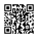 VG95234B2208PX QRCode