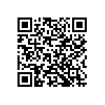 VG95234B2222P1X QRCode