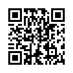 VG95234E1181SX QRCode